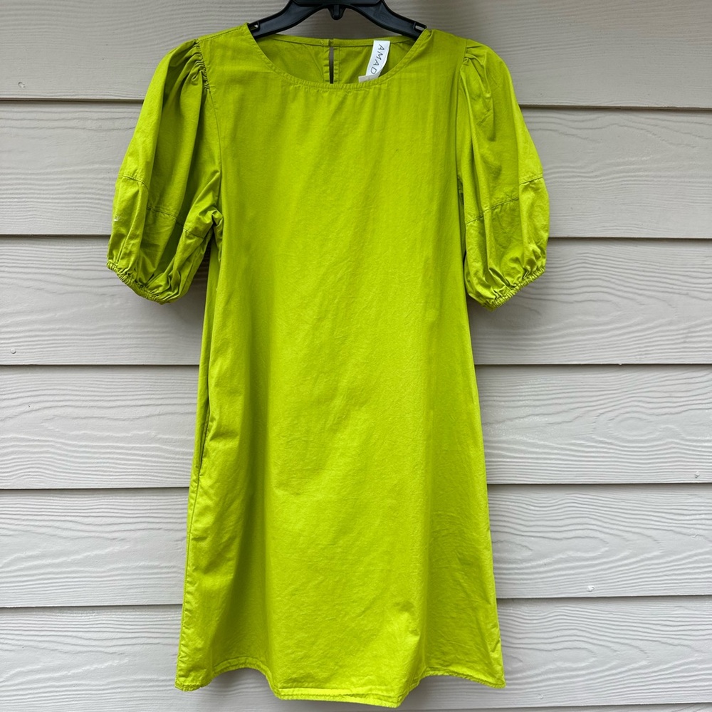 Amandi Dionna puff sleeved mini dress